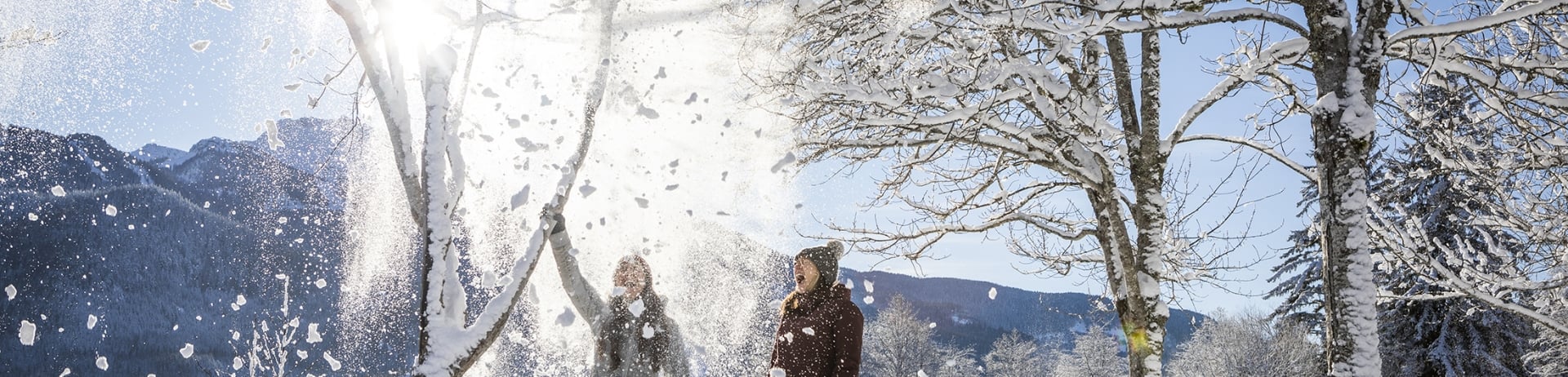 Two women on a walk in the snow shake snow from a tree