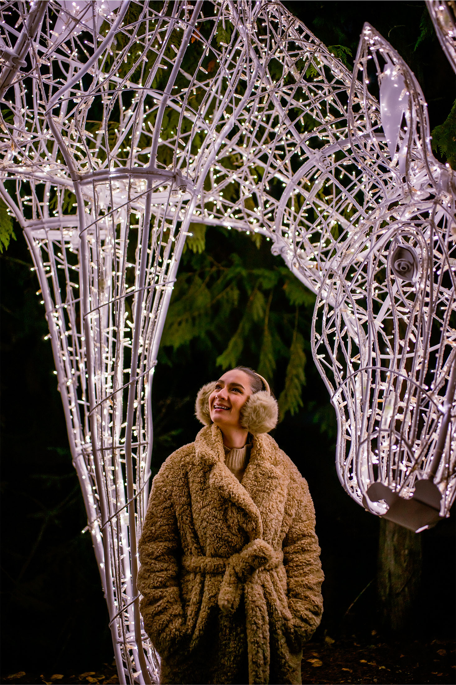Festive Twinkling lights whistler village dear rebagliati park