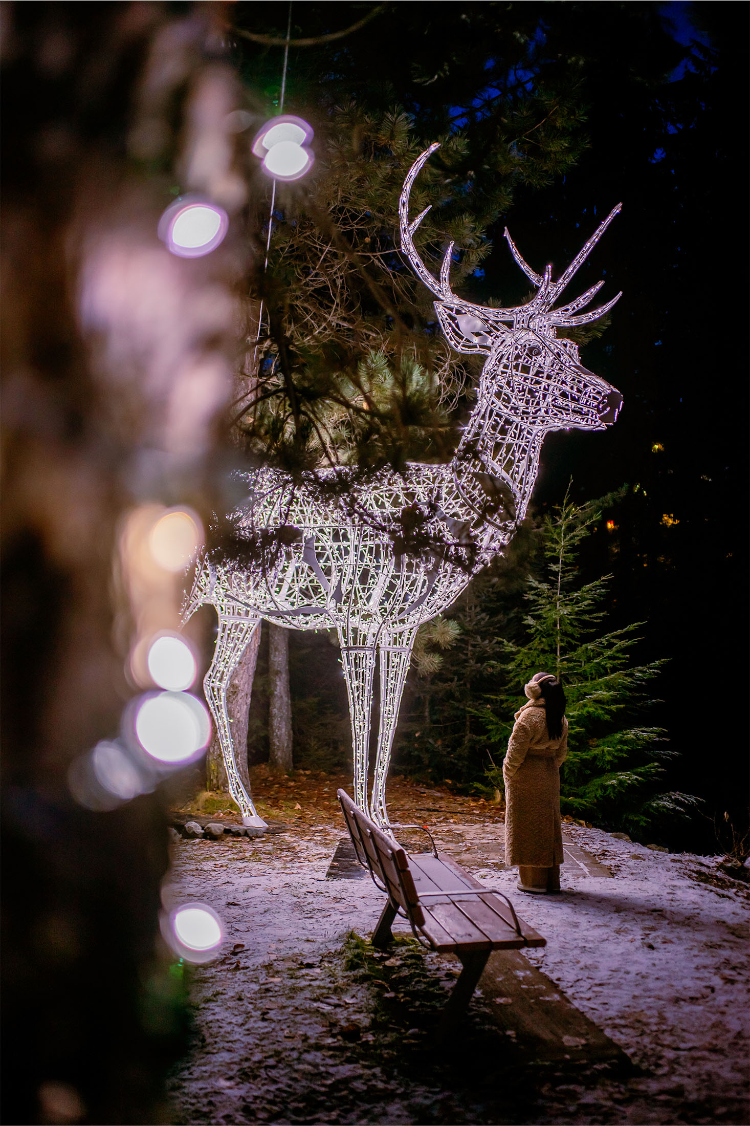 Festive Twinkling lights whistler village dear rebagliati park