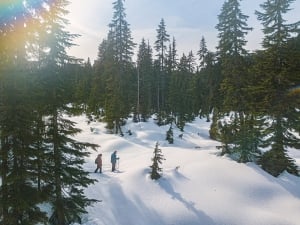 An aerial shot of a couple snowshoeing through the British Columbian woods