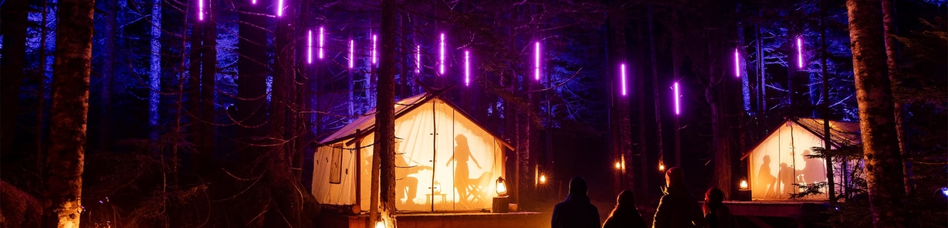 trees lit with purple lights over tents in the forest