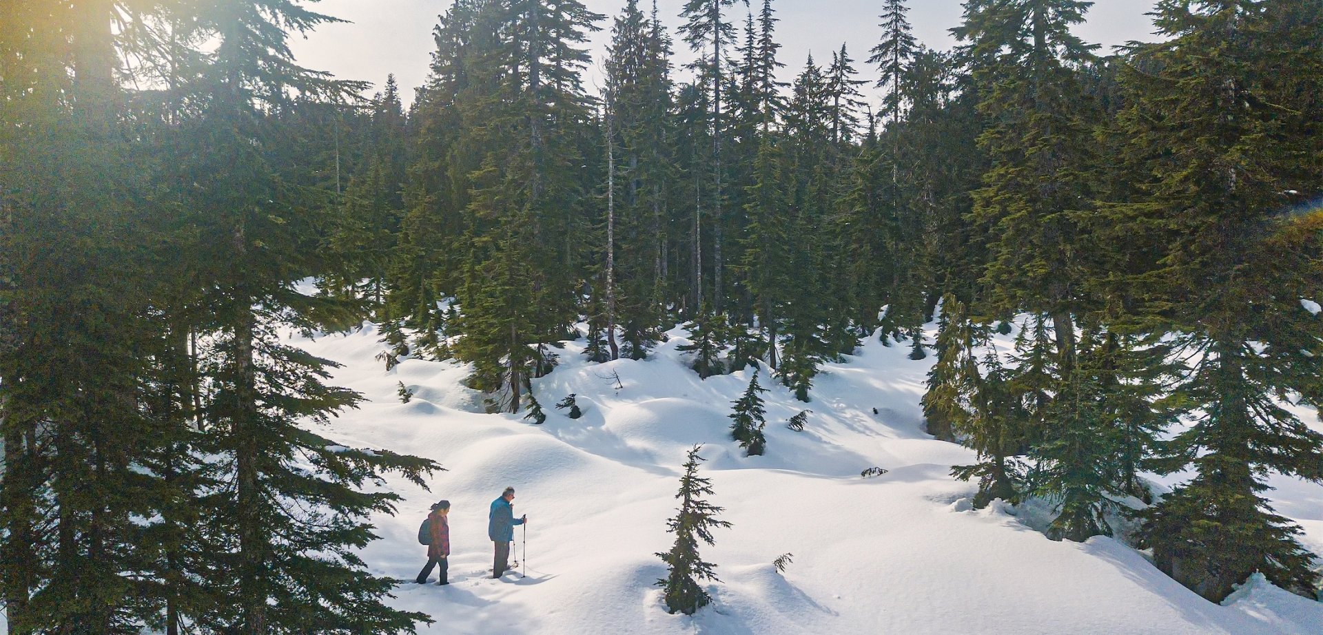 Mature, Multi-Ethnic Couple Snowshoeing in Fresh Snow Through Alpine Forest