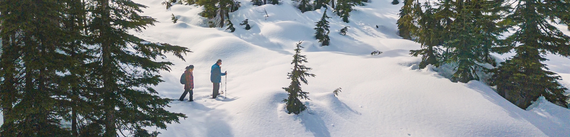 Mature, Multi-Ethnic Couple Snowshoeing in Fresh Snow Through Alpine Forest