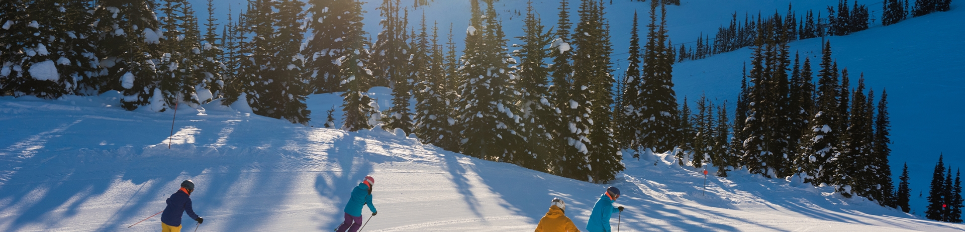 Friends skiing on a sunny day