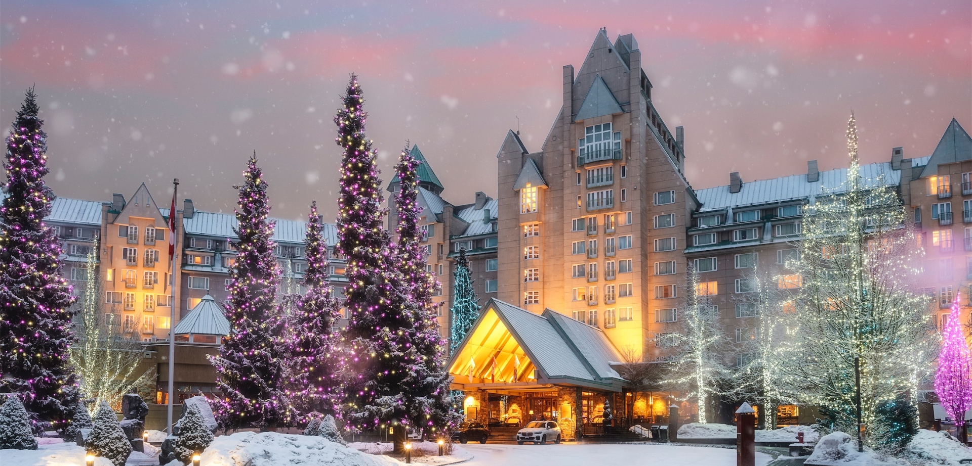exterior shot of the property with the trees decorated in white and pink lights