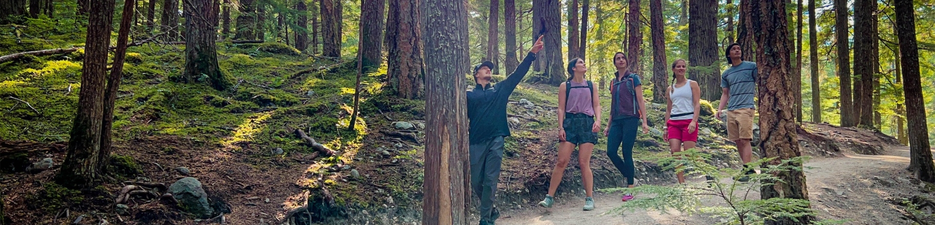 group hiking in the woods