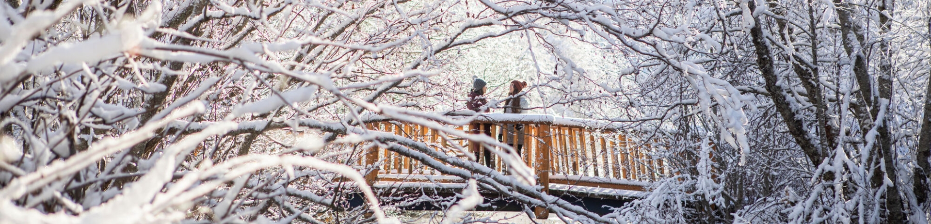 two women standing on a look off covered in snow