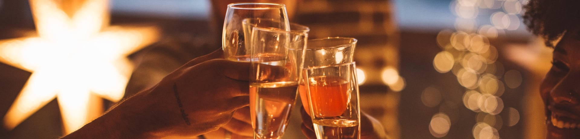 Cheers at Festive Dinner