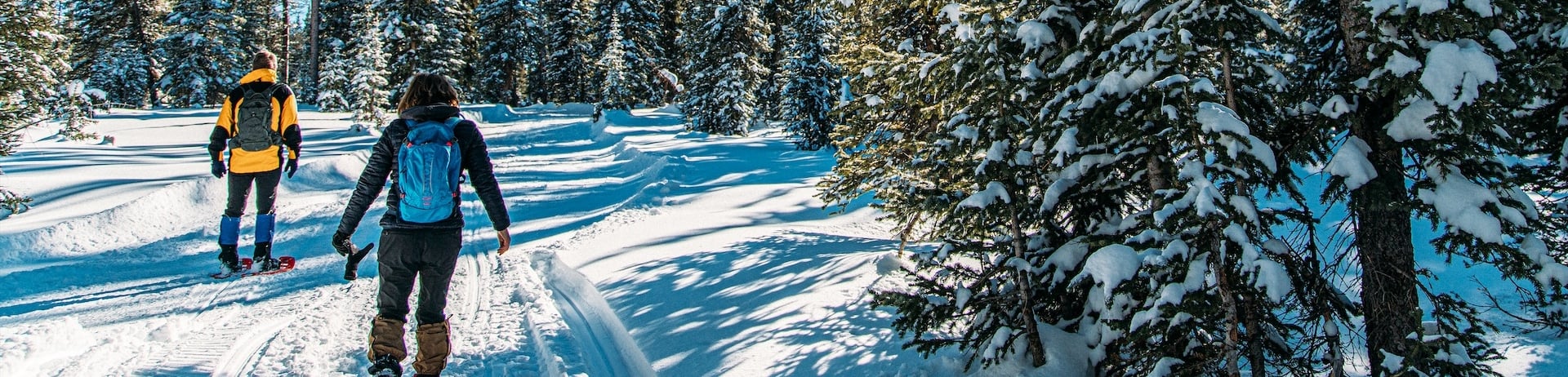 couple snowshoeing through snowy woods