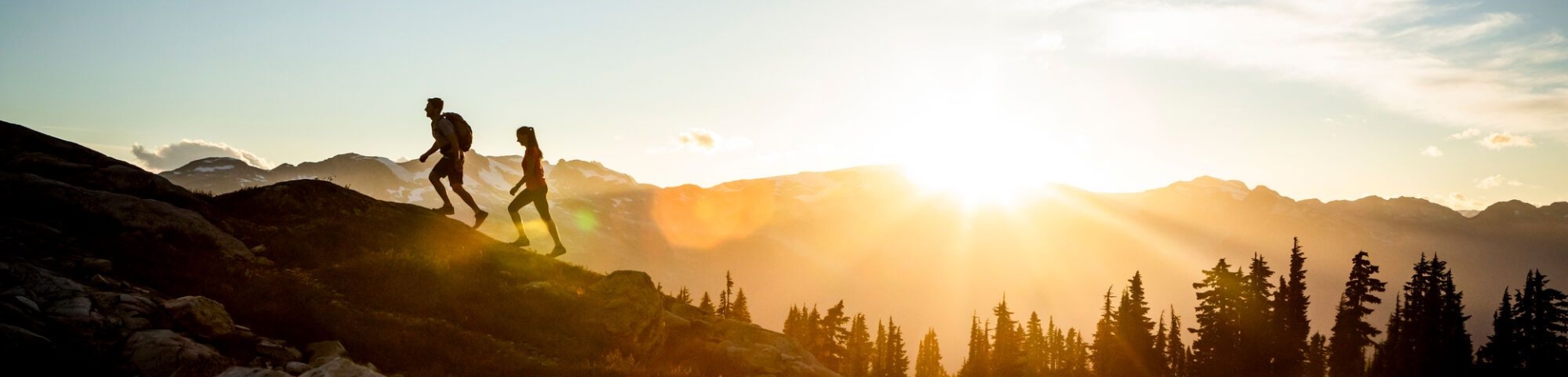 people hiking in a wooded area