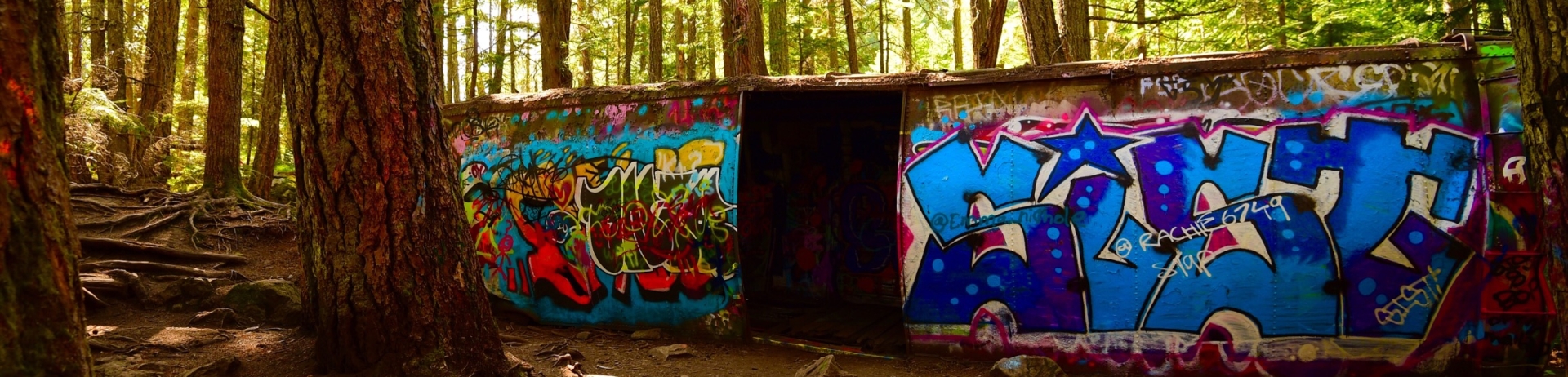 Train Wreck hike in Whistler