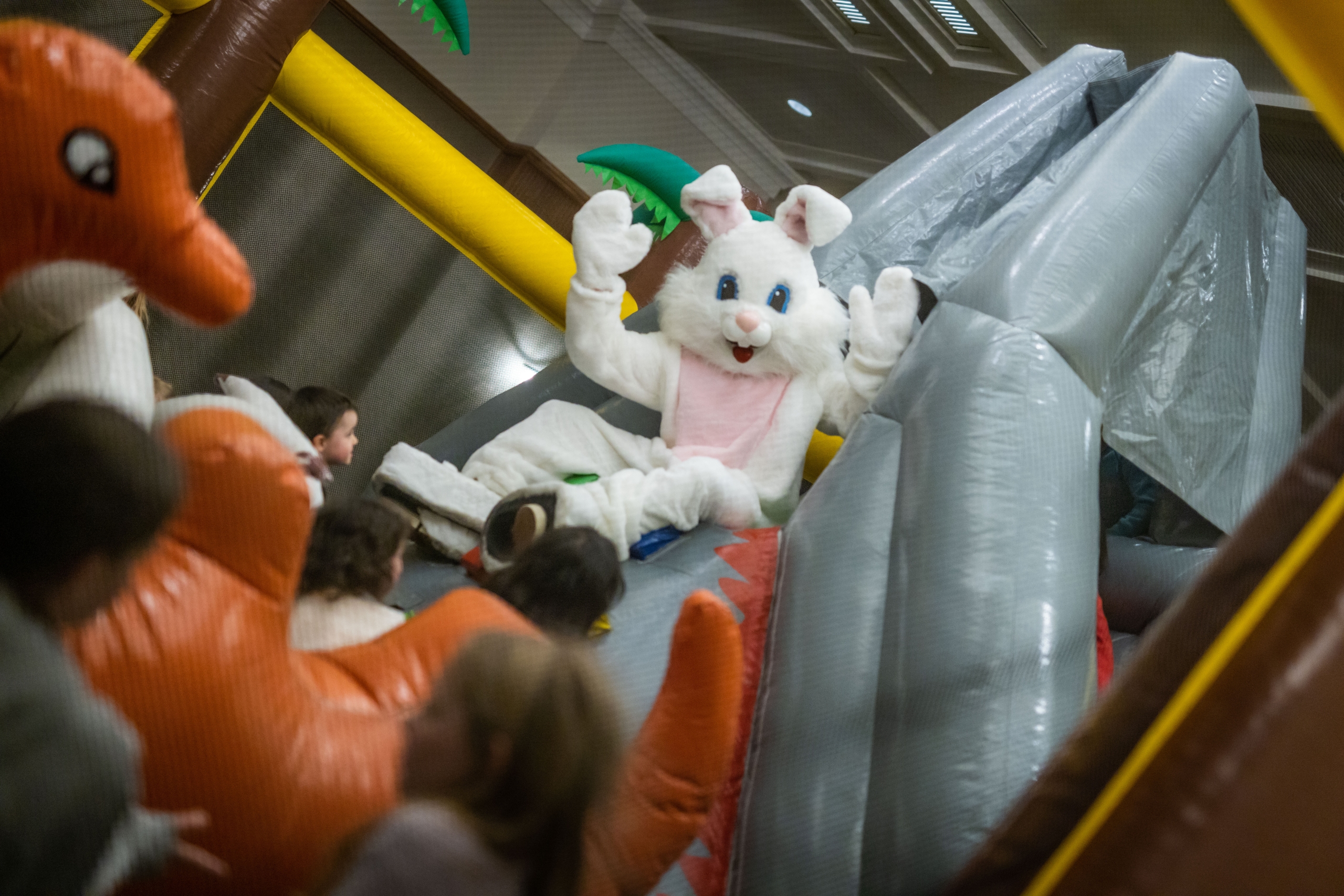 little bunny playroom