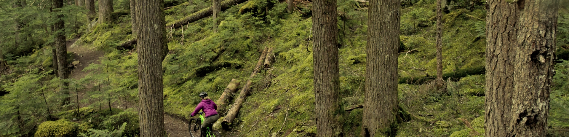 Biking in lost lake in whistler