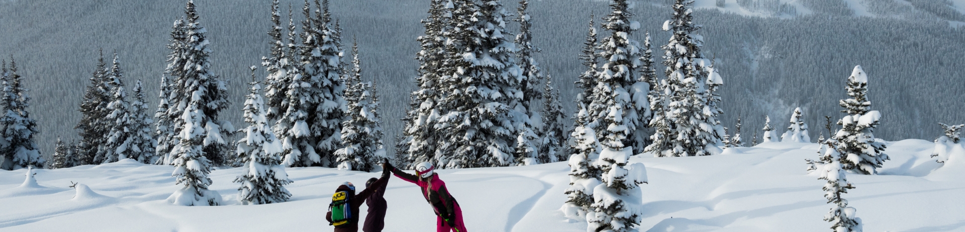 Ski_Tourism Whistler/Mike Crane