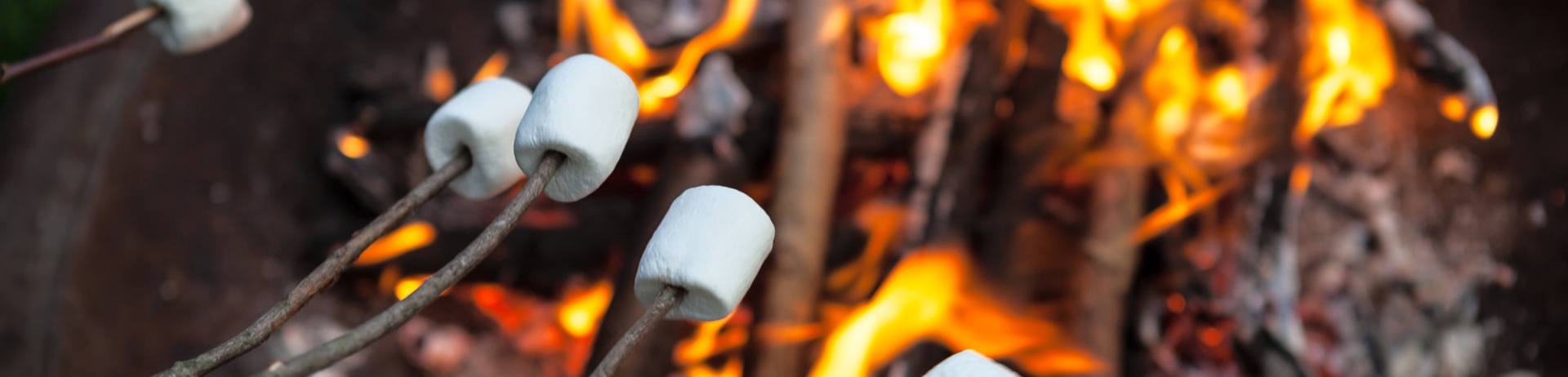 Marshmallows Roasting On An Open Fire Pit