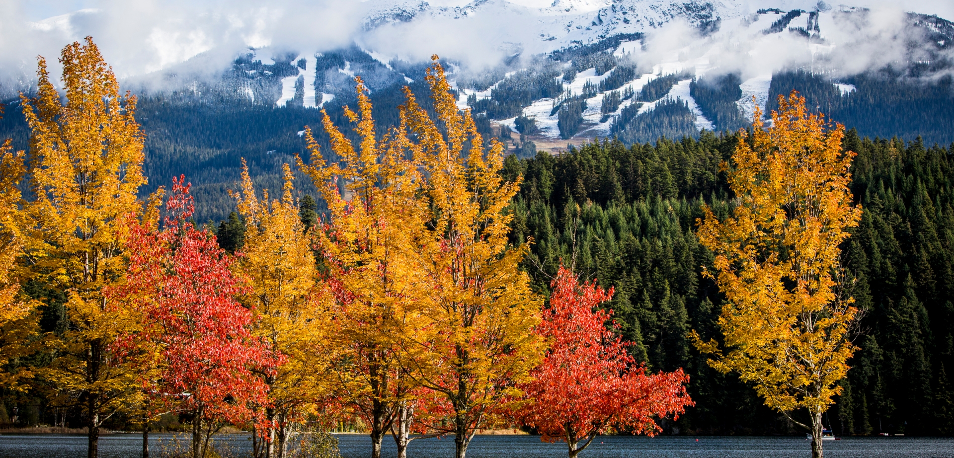 Fall Nature Whistler_Tourism Whistler_Justa Jeskova