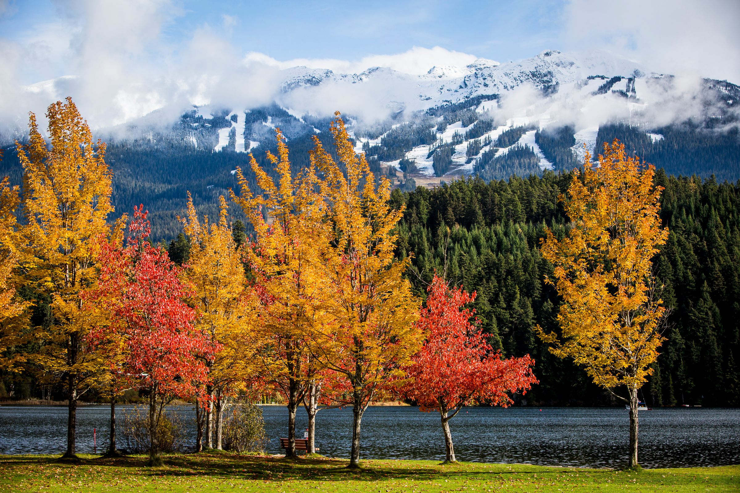 Fall Wheller Fall in Whistler - Fairmont Chateau Whistler