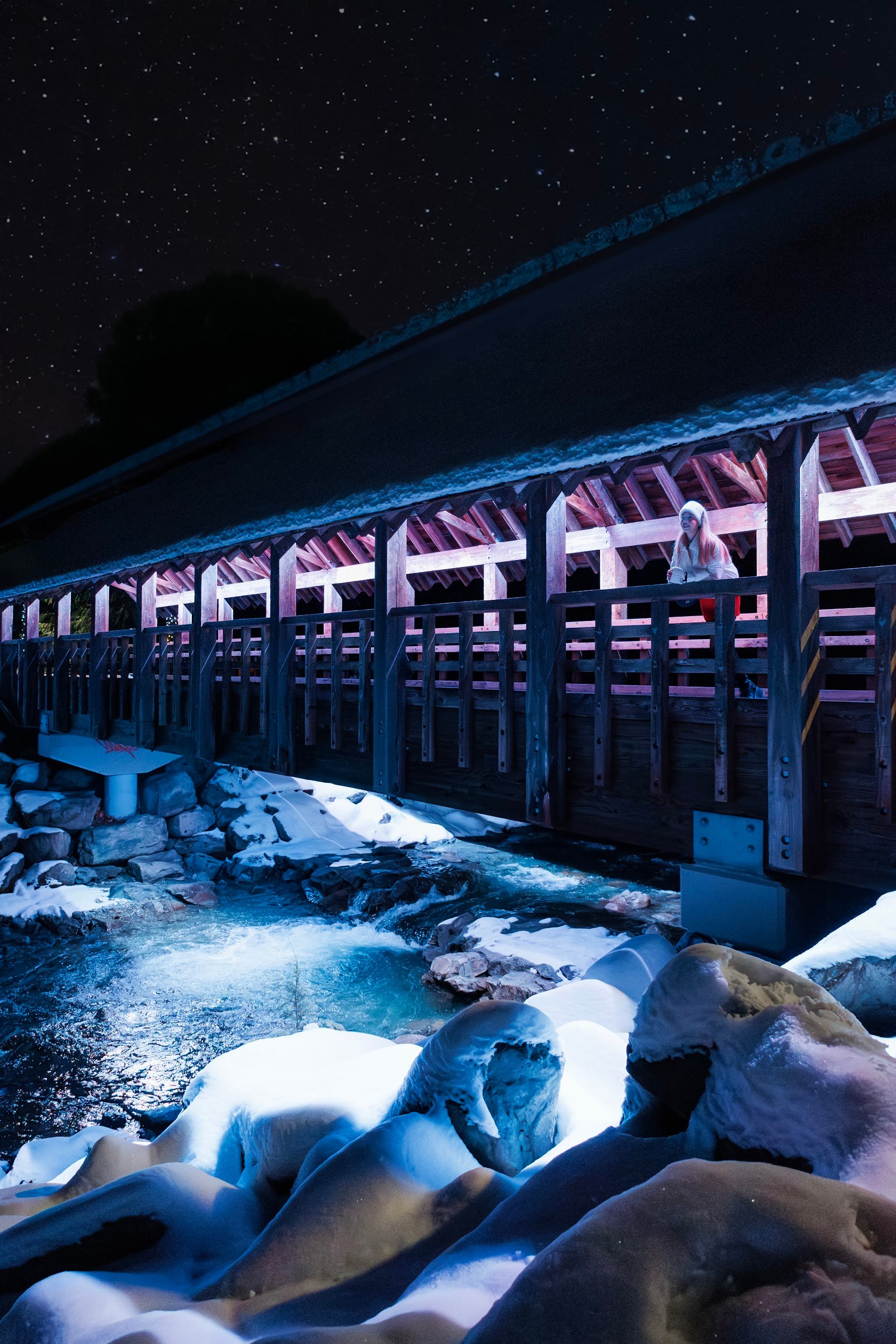 Fitsimmons bridge rebagliati park winter