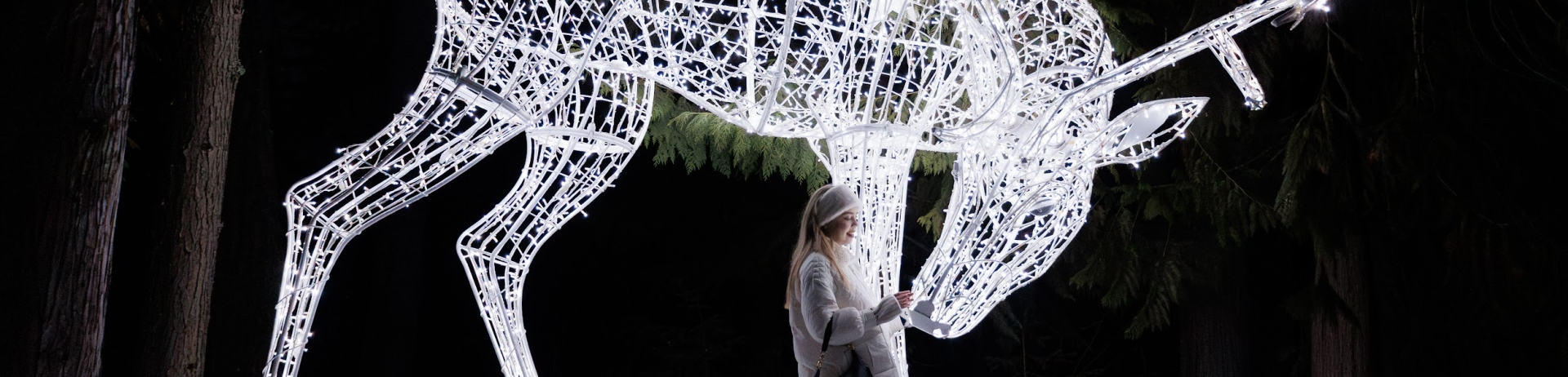 Festive Lifestyle Twinkling lights whistler deer