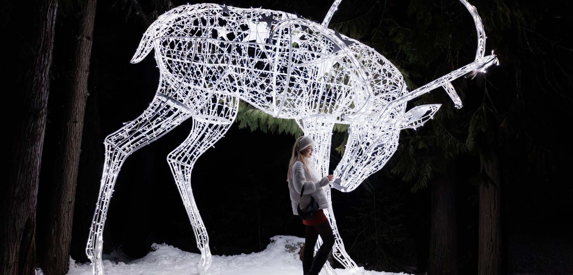 Festive Lifestyle Twinkling lights whistler deer