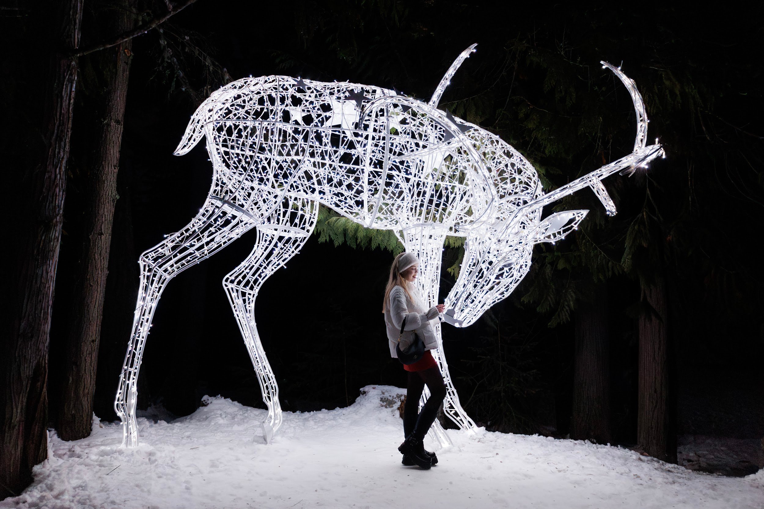 Festive Lifestyle Twinkling lights whistler deer