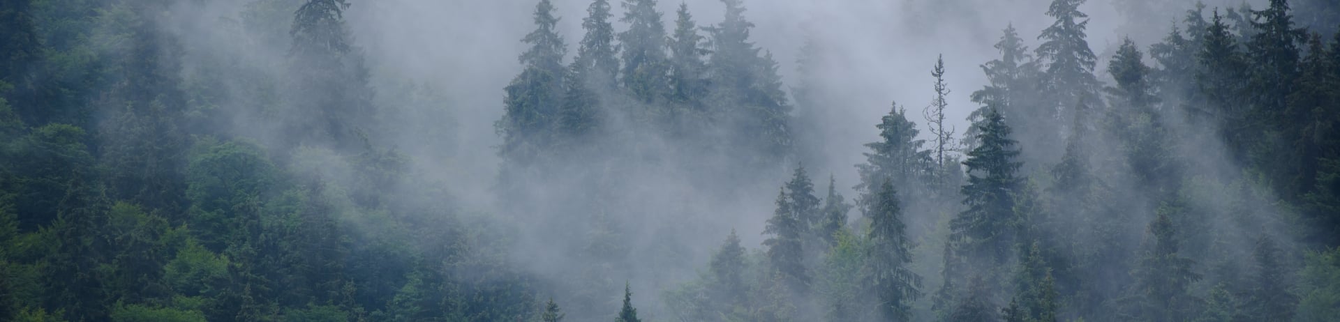 Misty mountain landscape