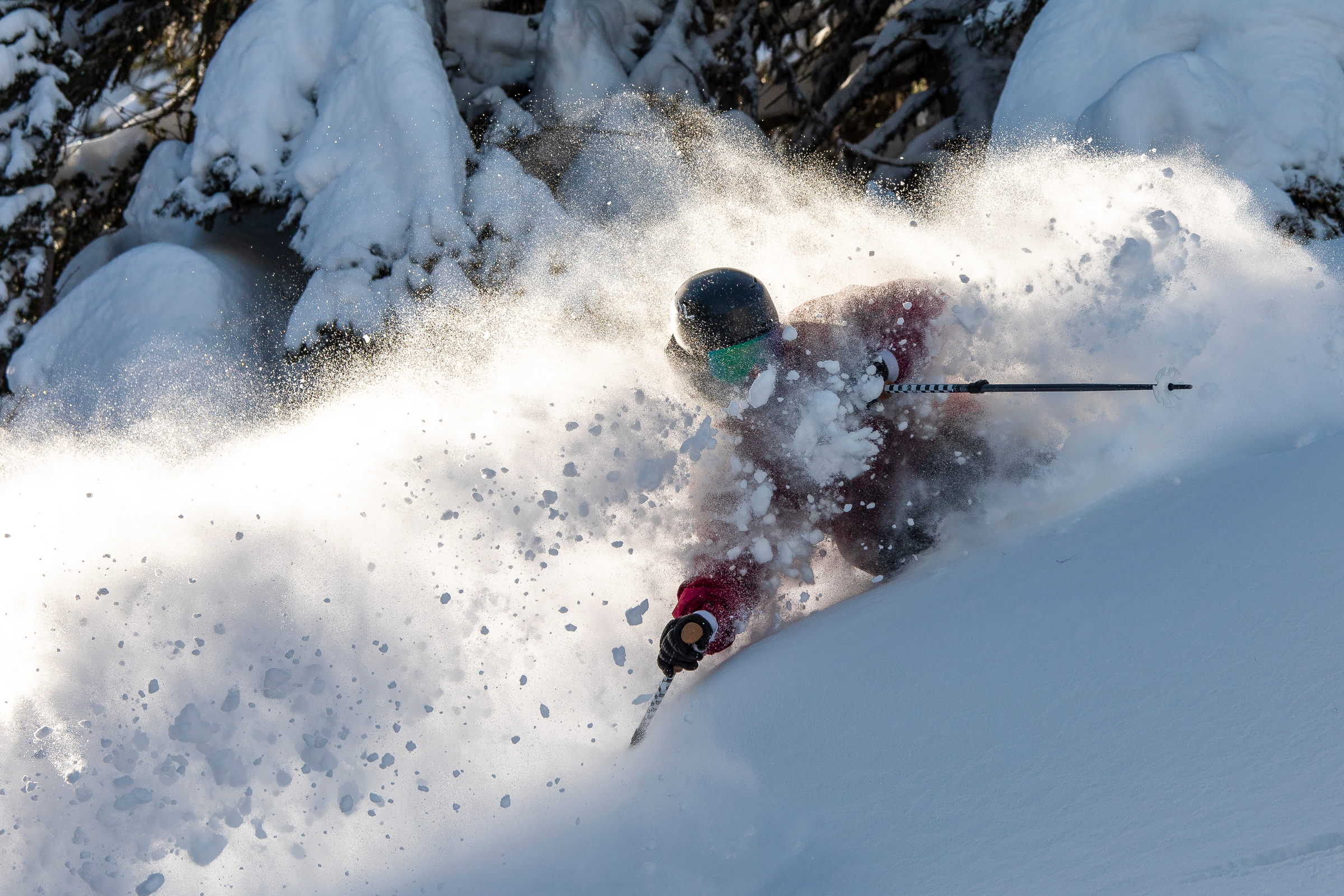 Powder skiing whistler blackcomb_Tourism Whistler/Ben Girardi