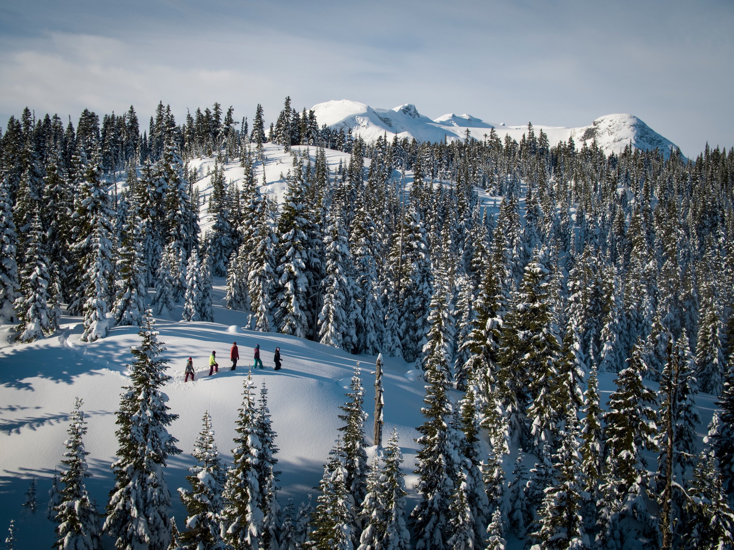 Snowshoeing The Adventure Group