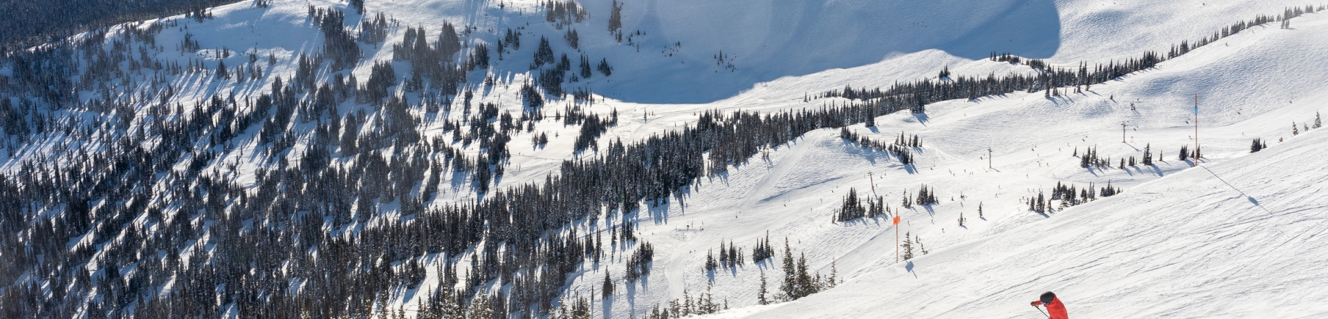 whistler blackcomb winter skiing skiers