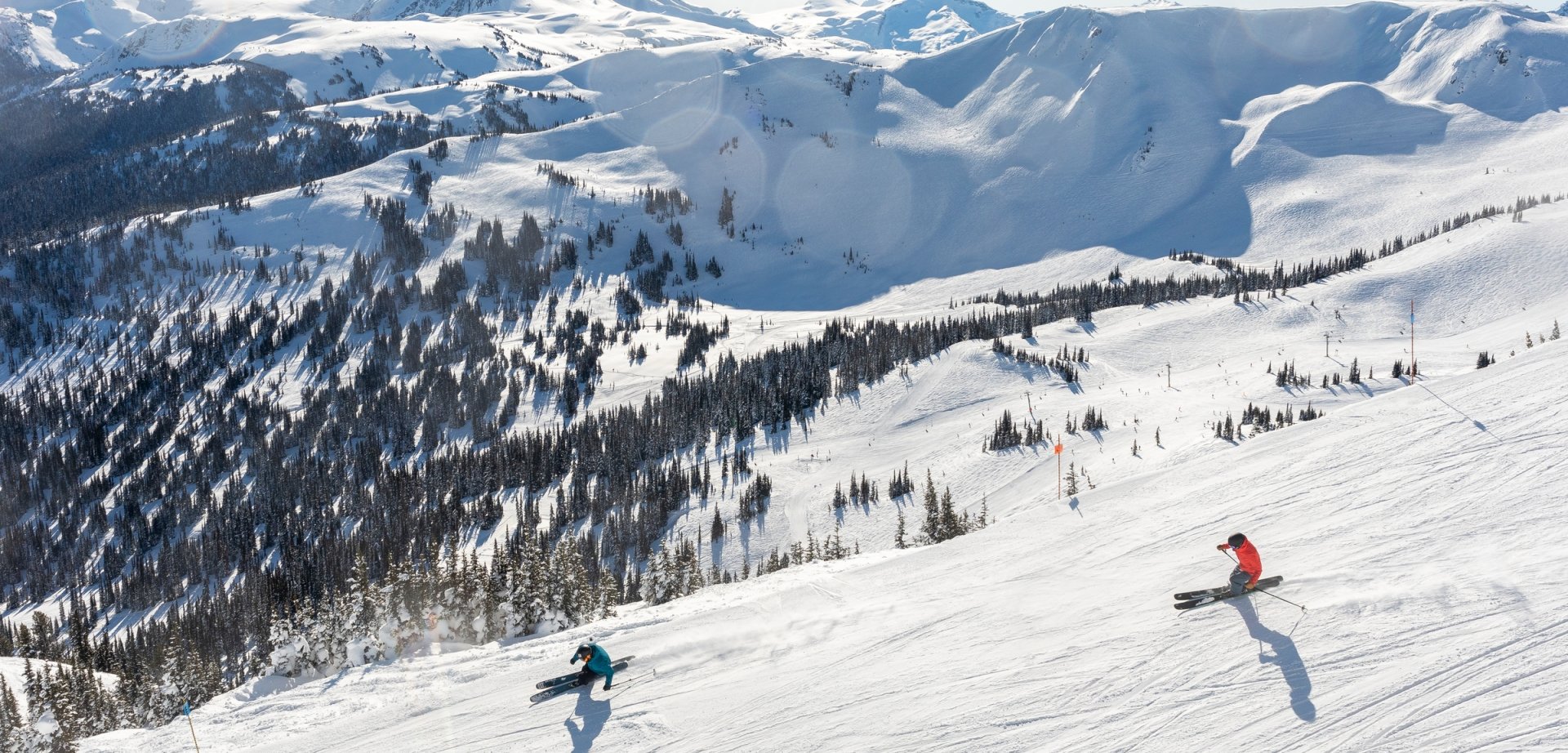 whistler blackcomb winter skiing skiers