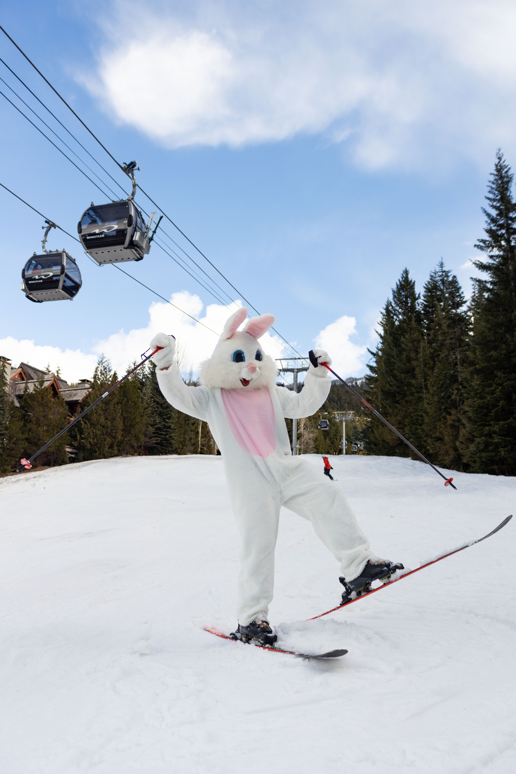 ski easter bunny at fairmont chateau whistler