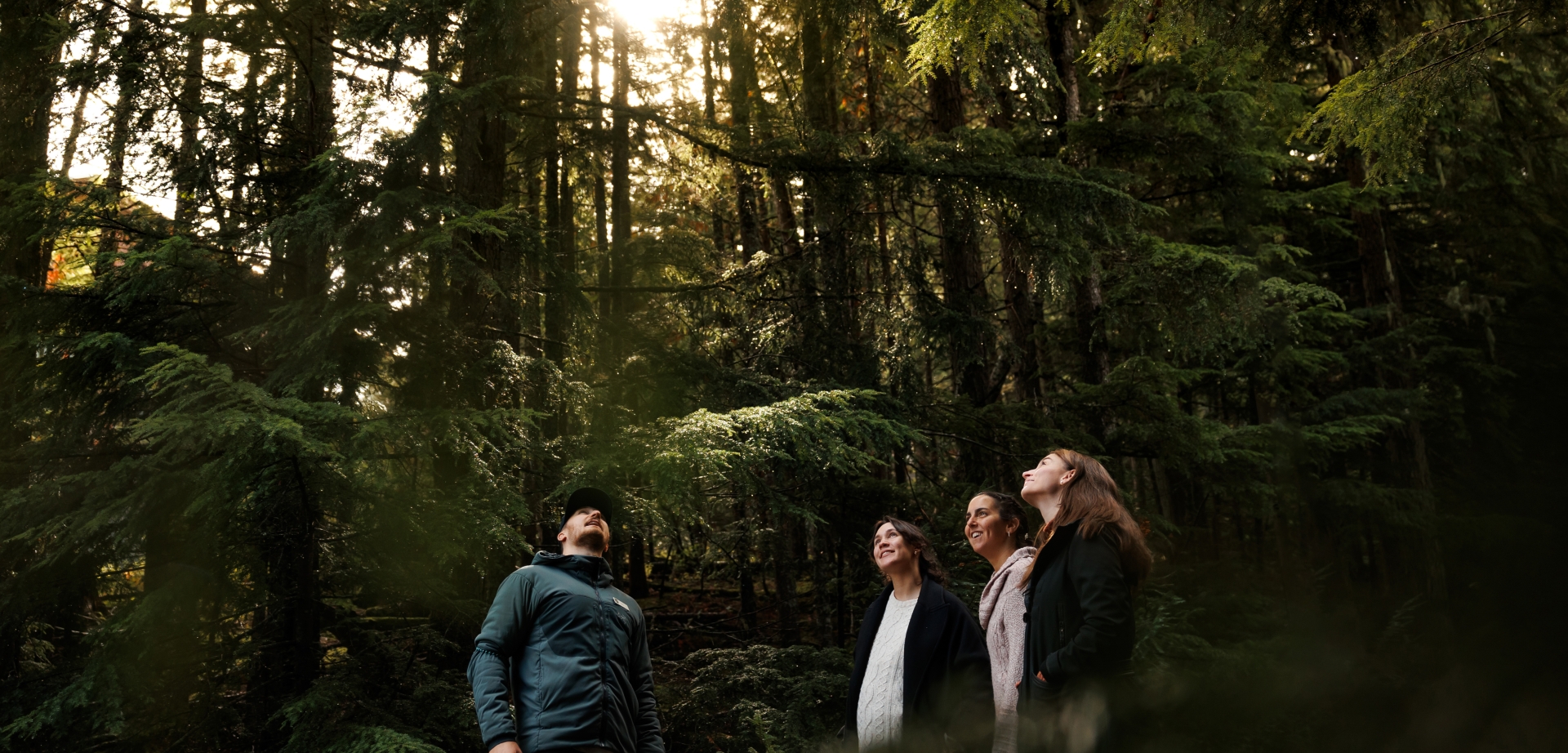 weg whistler experience guides hiking fairmont chateau whistler forest bathing