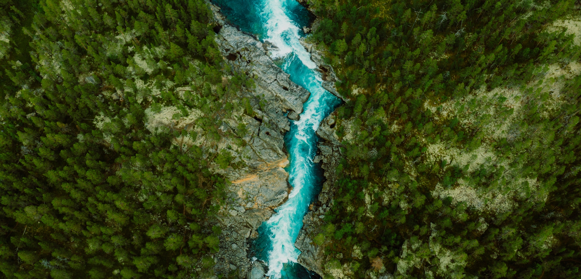 Scenic aerial view of the mountain landscape with a forest and the crystal blue river