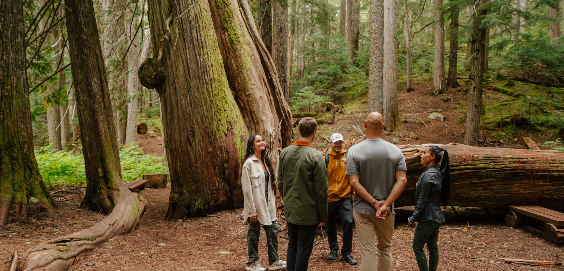ancient cedars hike private experience by Fairmont Chateau Whistler guides