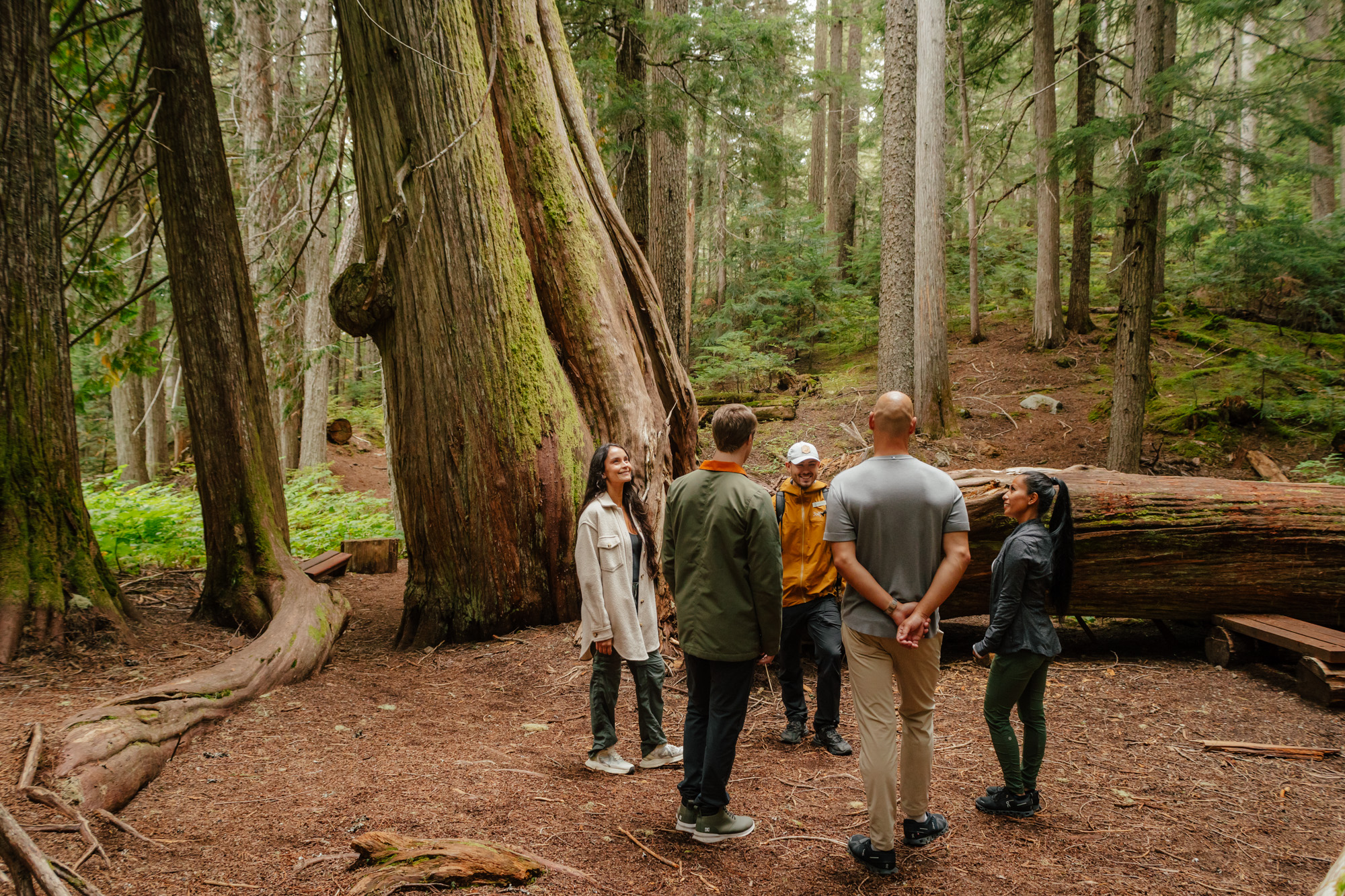 ancient cedars hike private experience by Fairmont Chateau Whistler guides