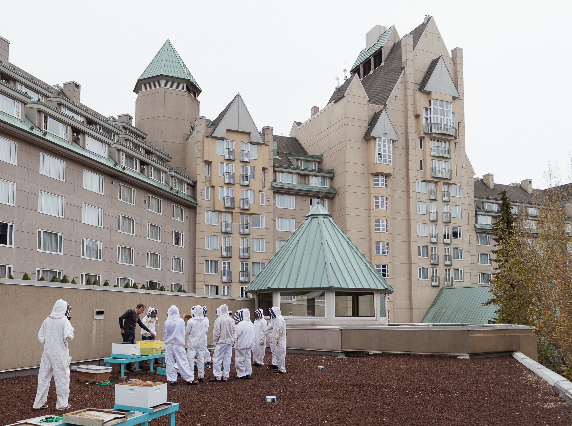 rooftop pollinator bee farm