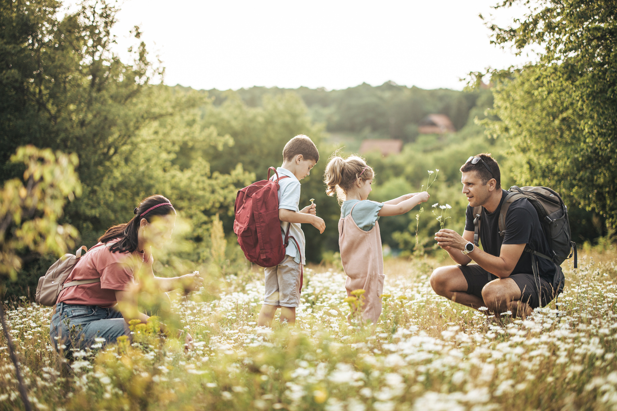 flower picking
