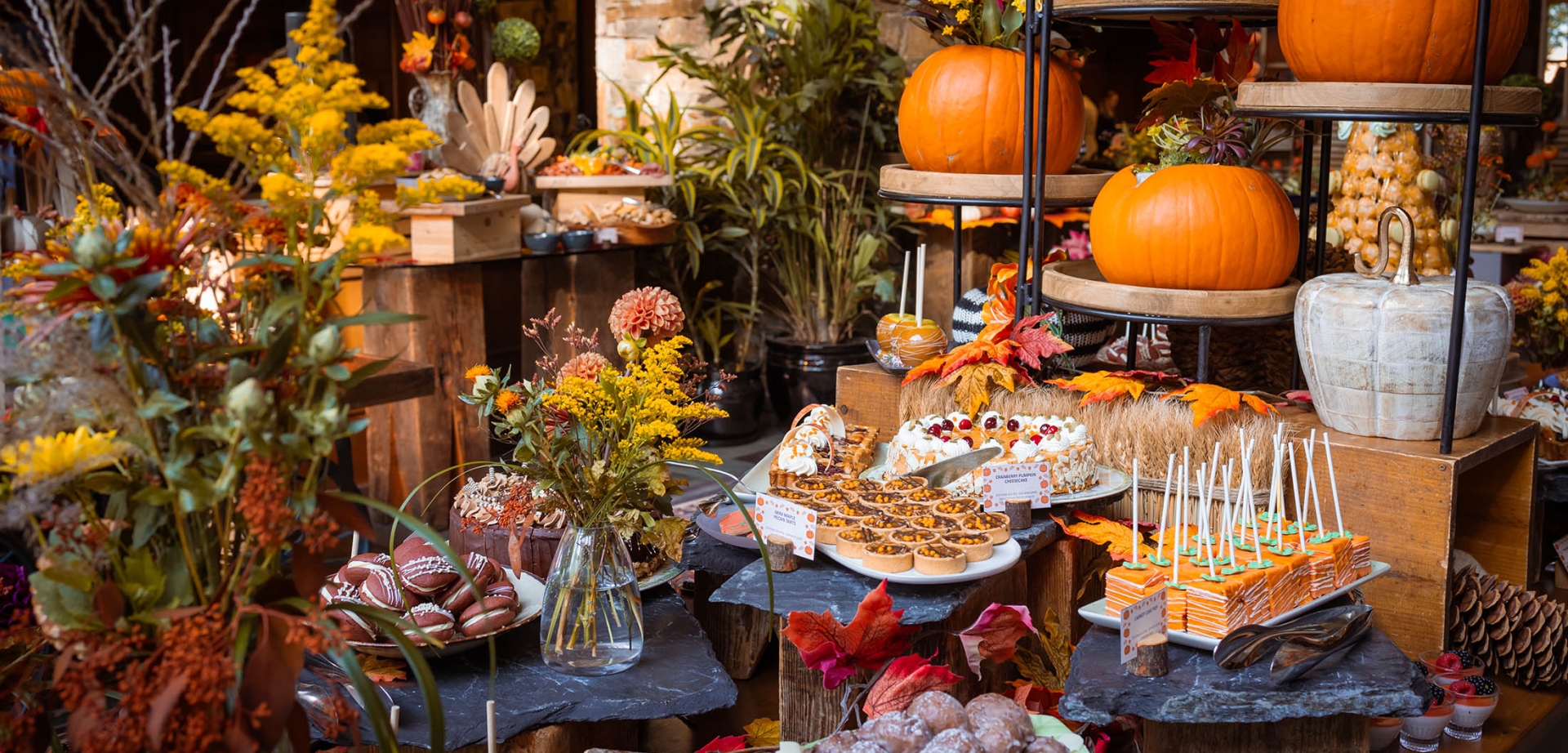 thanksgiving harvest brunch at the wildflower restaurant fairmont chateau whistler