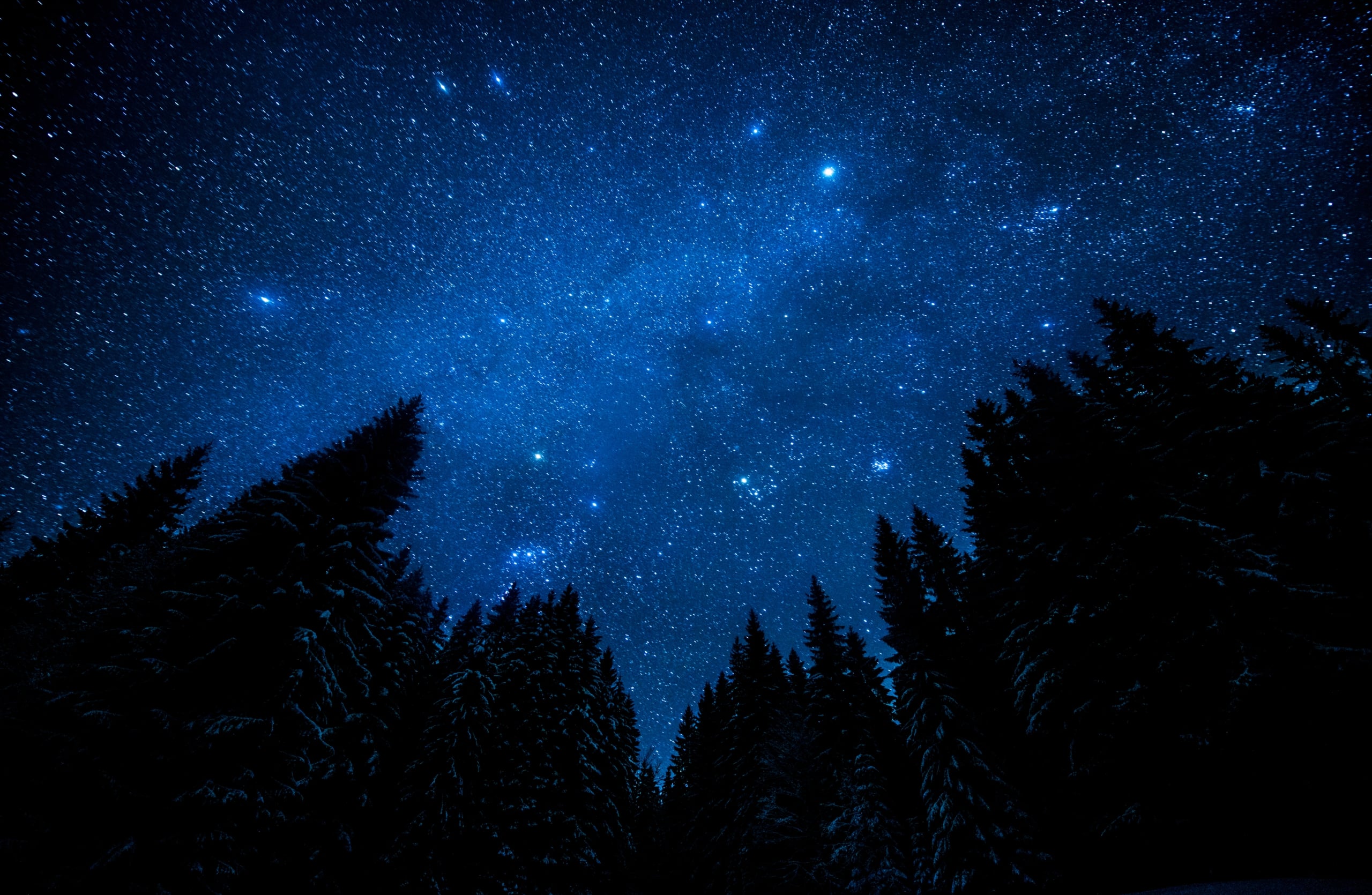 stargazing in whistler