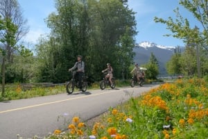 WEG fairmont chateau whistler e-bike tour summer