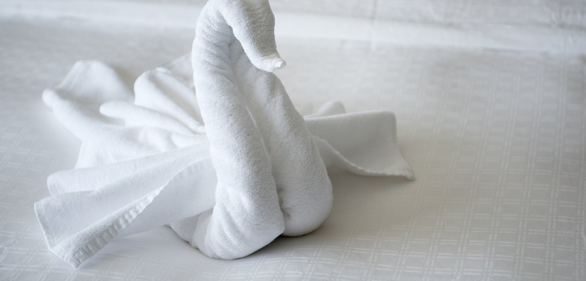 towel art workshop led by fairmont chateau whistler