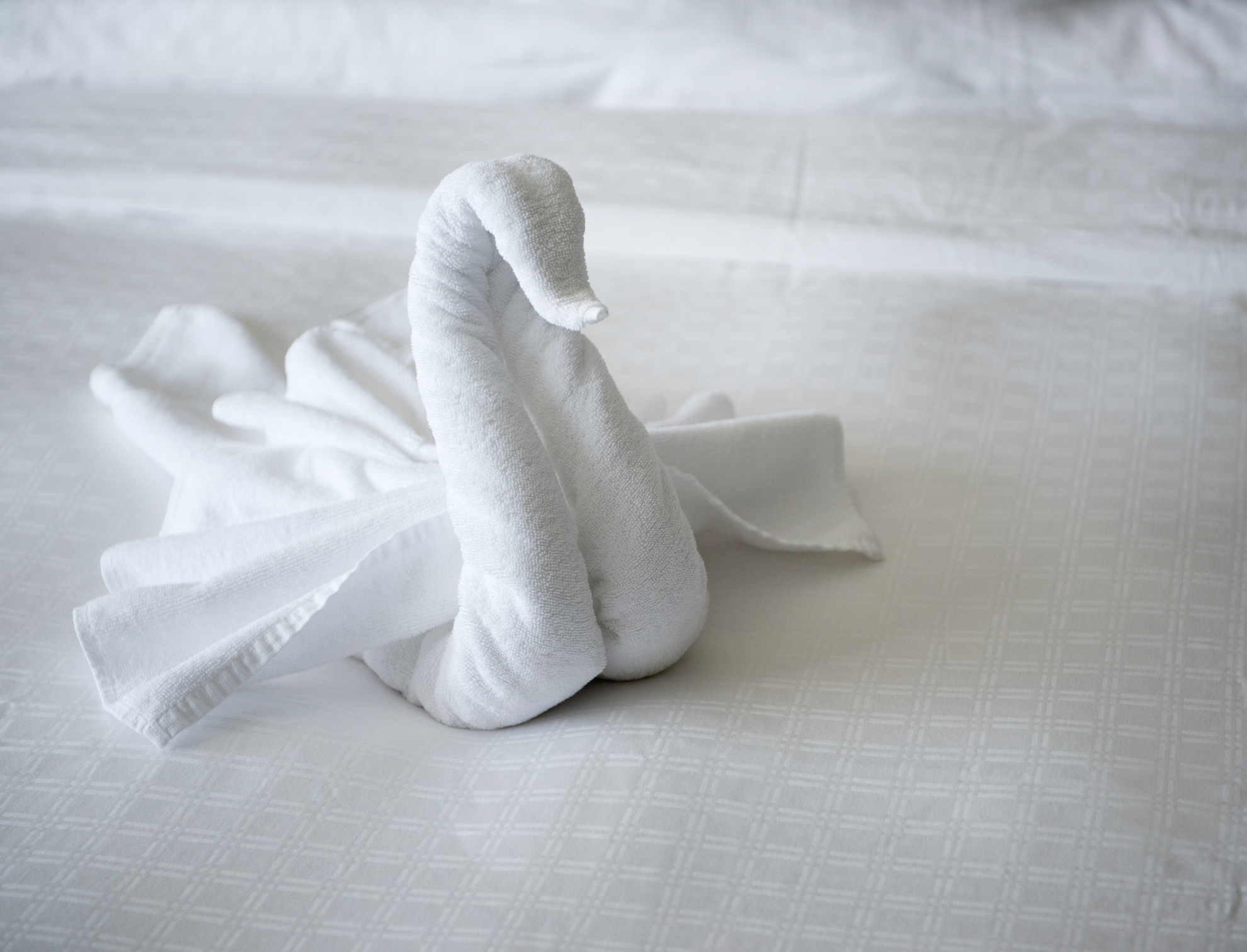 towel art workshop led by fairmont chateau whistler