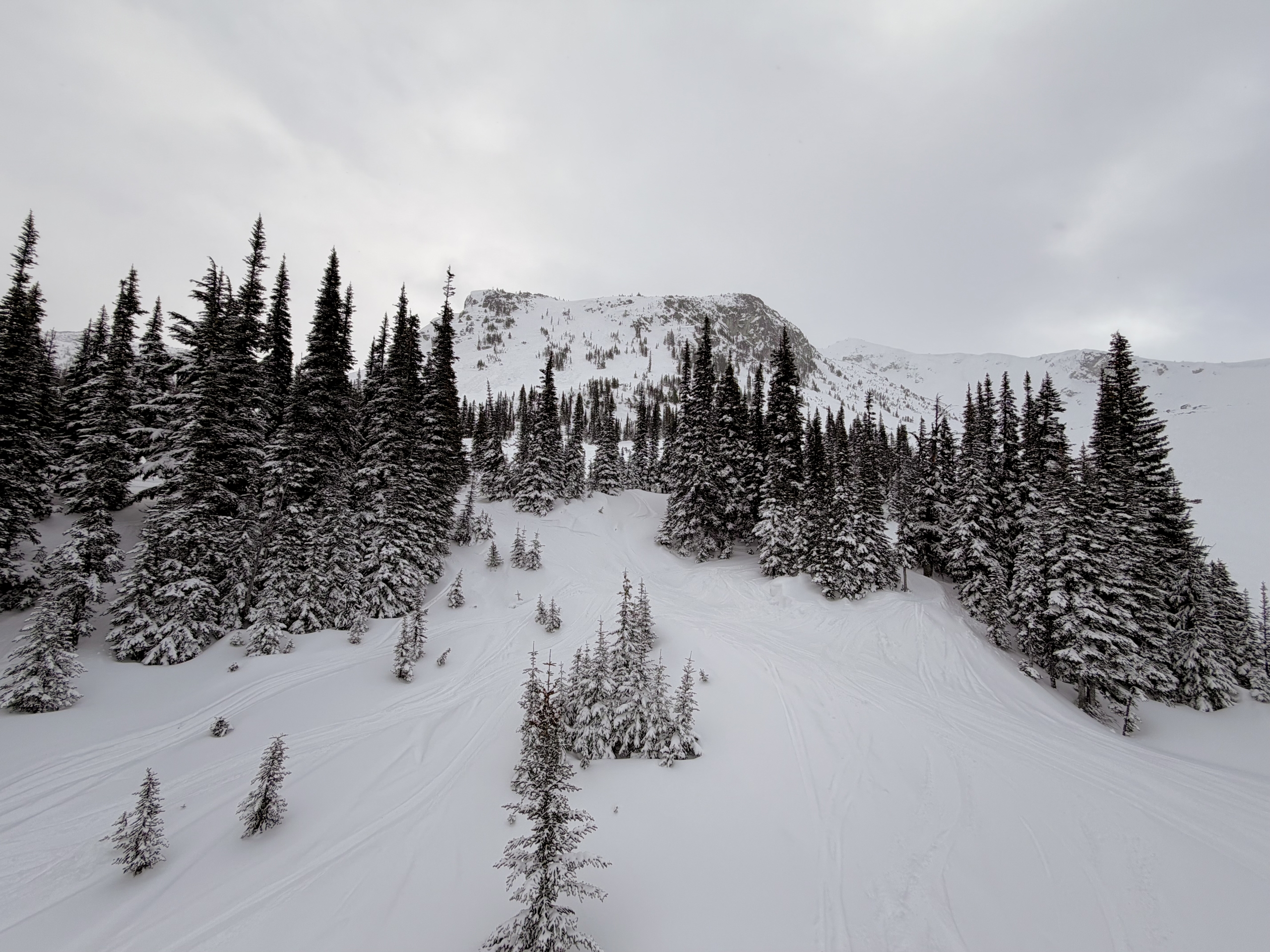 whistler blackcomb mountain live views
