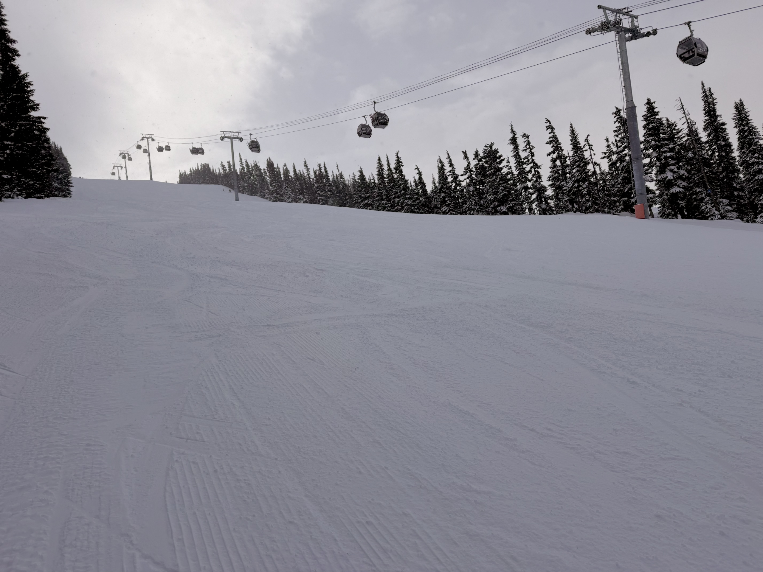 whistler blackcomb mountain live views