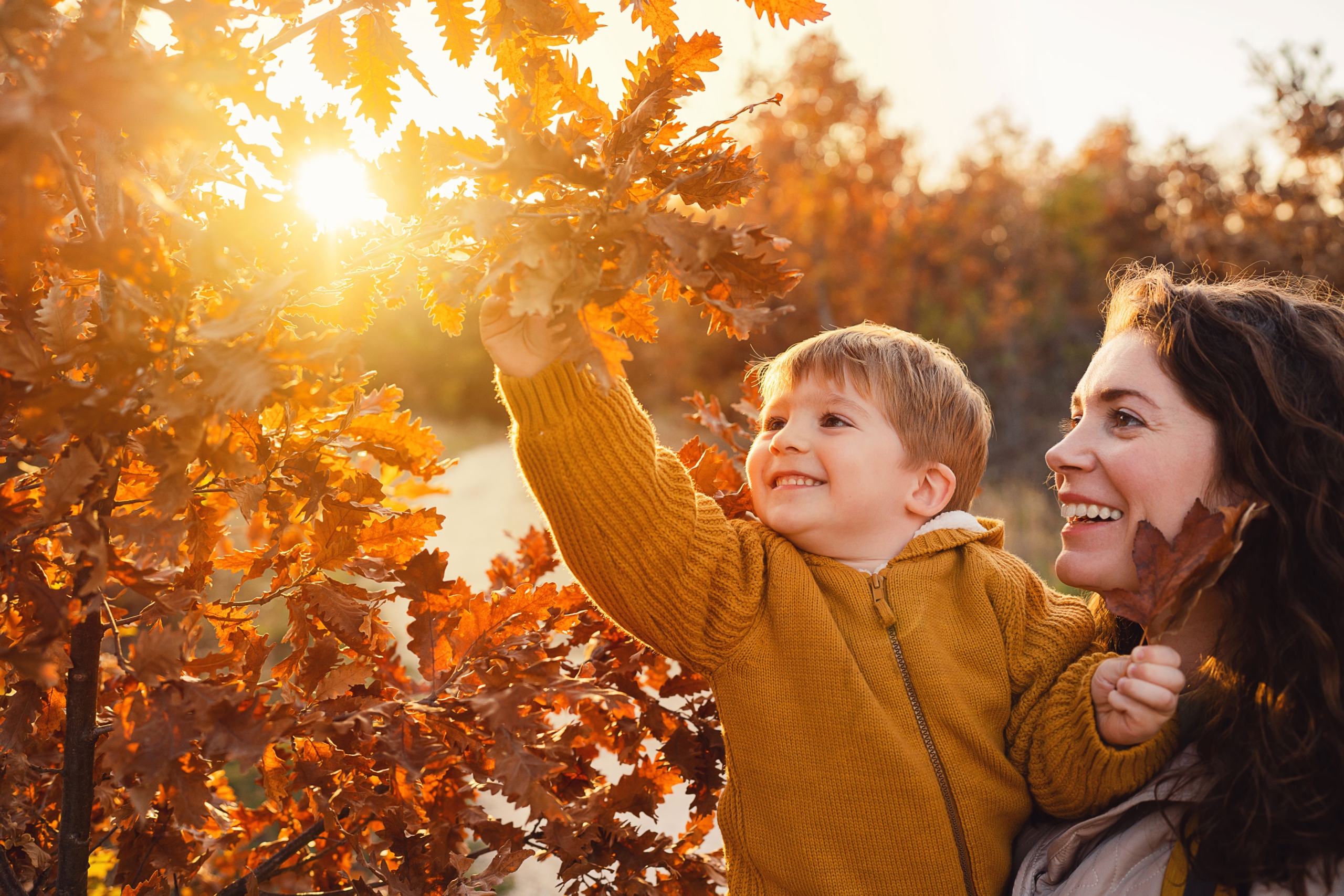 mom and kid enjoying a fall afternoon in Whistler surrounded by golden leafs